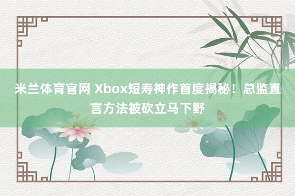 米兰体育官网 Xbox短寿神作首度揭秘！总监直言方法被砍立马下野